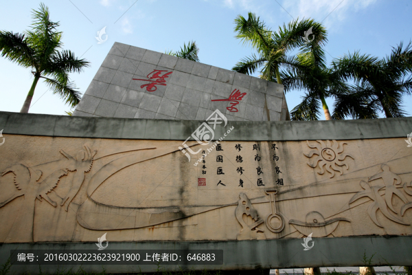 醫(yī)學(xué)浮雕