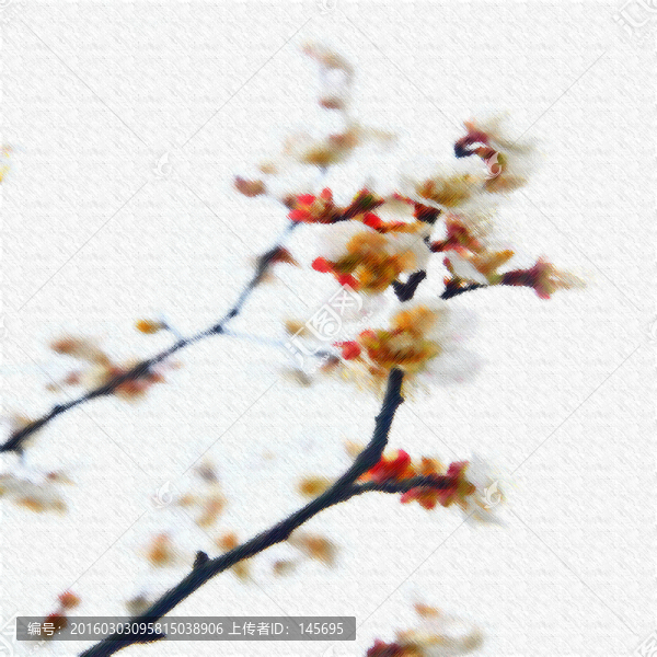玉蘭花（未分層）