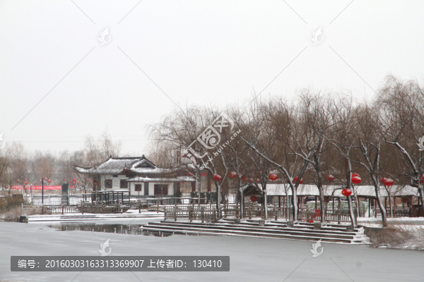 濕地公園雪景