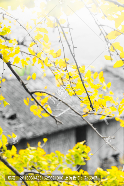 韶關(guān)南雄