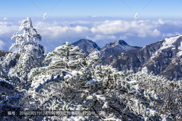 霧凇,昆明轎子雪山