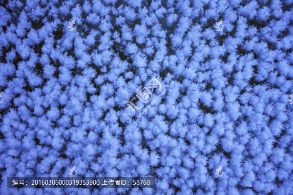河面霜花