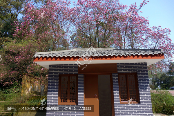 紅玉蘭,小屋,園林景觀