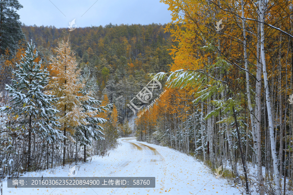 山林秋雪
