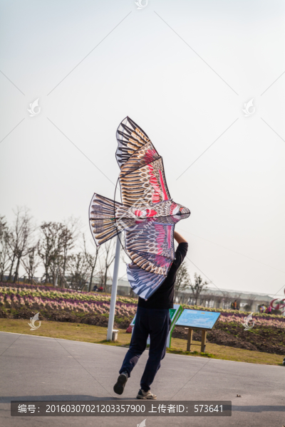 放風(fēng)箏
