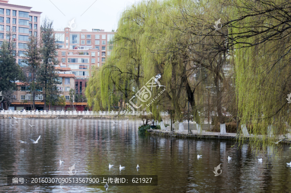 云南昆明翠湖