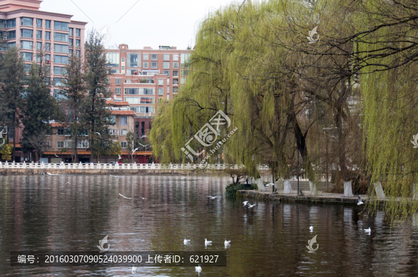 云南昆明翠湖