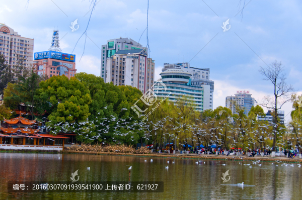 云南昆明翠湖