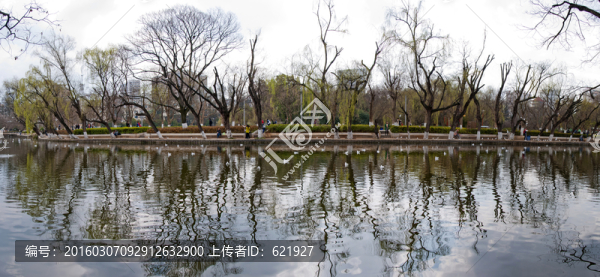 云南昆明翠湖春景（高清全景圖）