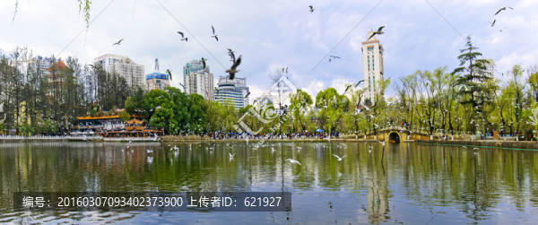 云南昆明翠湖春景（高清全景圖）