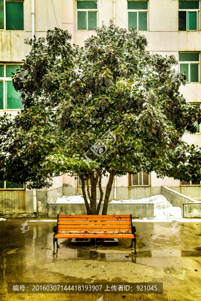 孤獨(dú)的座椅
