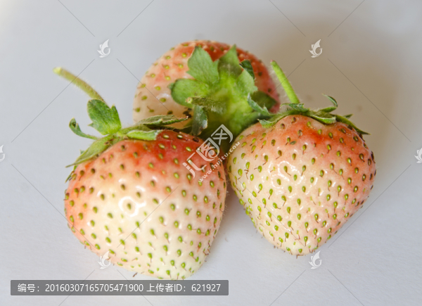 白草莓