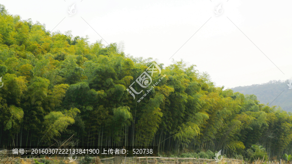 寧波,九龍?jiān)? title=