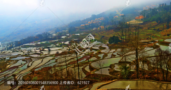 云南元陽(yáng)梯田