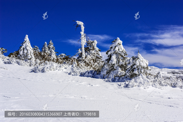 昆明轎子雪山
