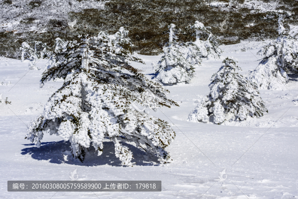 霧凇,昆明轎子雪山