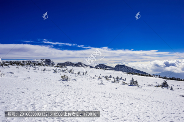 昆明轎子雪山