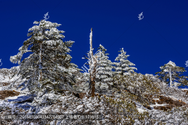 昆明轎子雪山