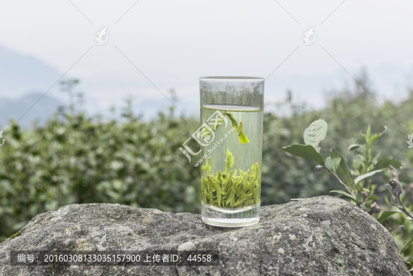 一杯綠茶