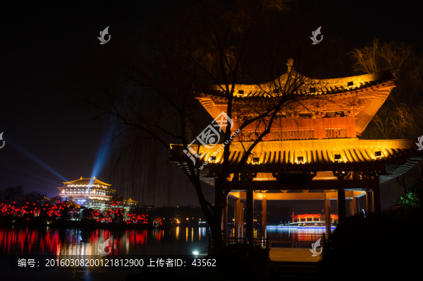 大唐芙蓉園,亭,燈光,夜景