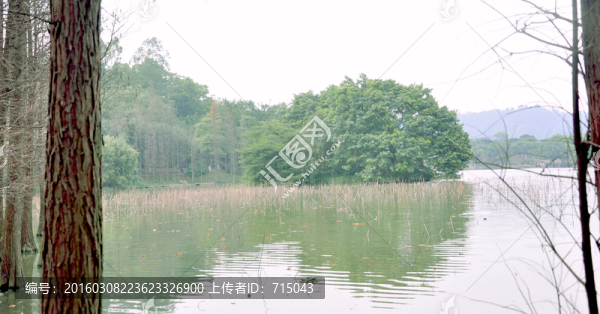 風景