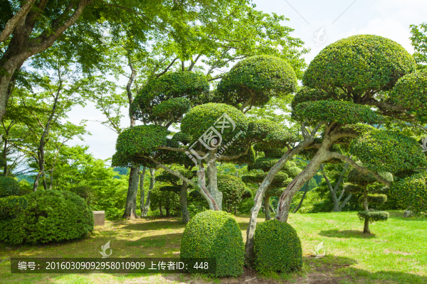 日本平和公園,日本園林園藝