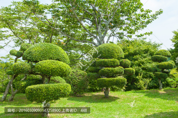 日本平和公園,日本園林園藝