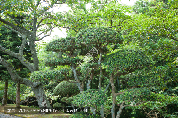 日本平和公園,日本園林園藝
