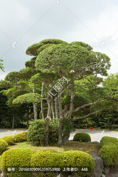 日本平和公園,日本園林園藝