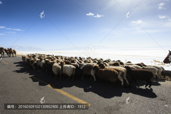 轉(zhuǎn)場
