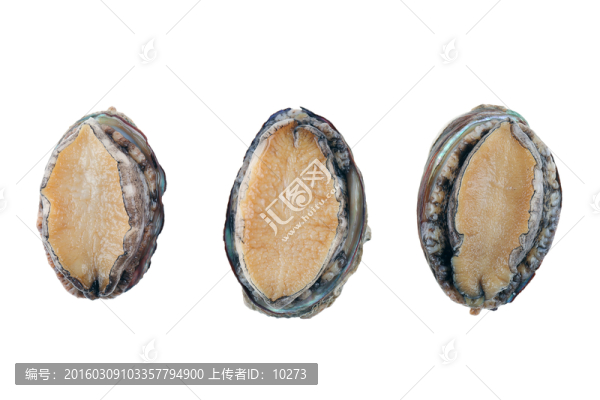 鮑魚