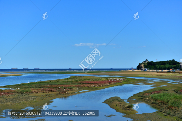 大海