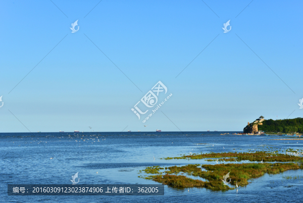 大海