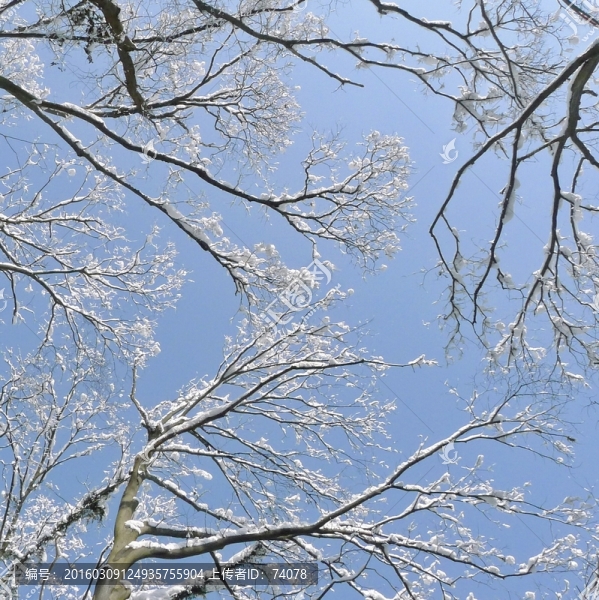 雪凇藍(lán)天