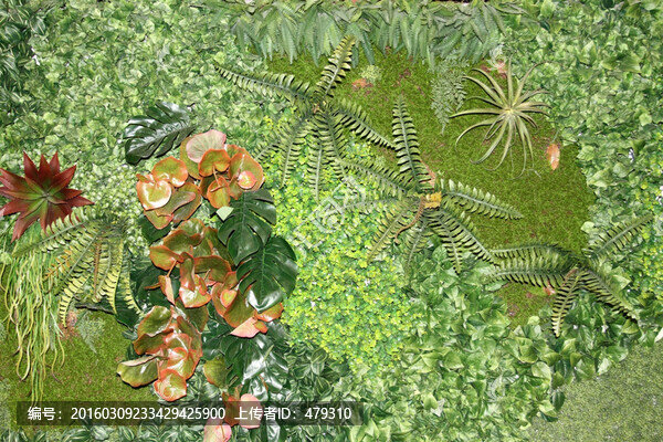 植物墻,綠葉背景,綠化墻,素材