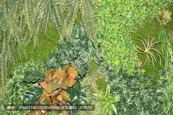 植物墻,綠葉背景,綠化墻,素材