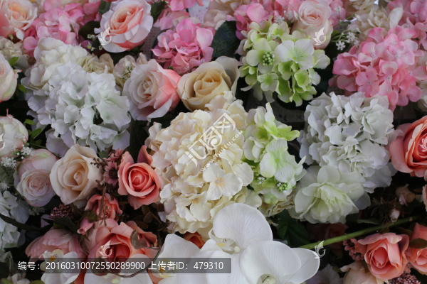 花墻,花朵,花卉,花,花兒