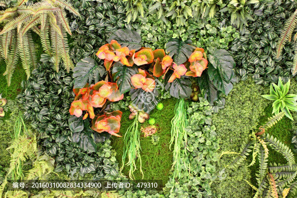 植物墻,綠葉背景,綠化墻,素材