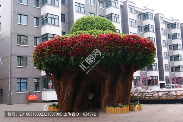 大型景觀樹