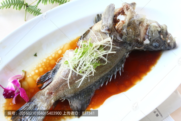 大青斑