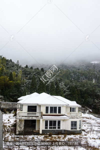 積雪
