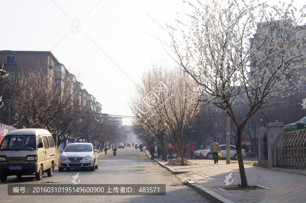 城市街景
