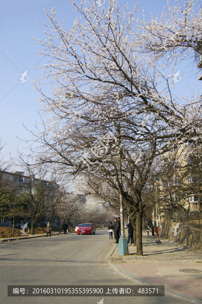 城市街景