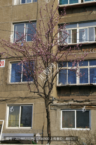 城市街景