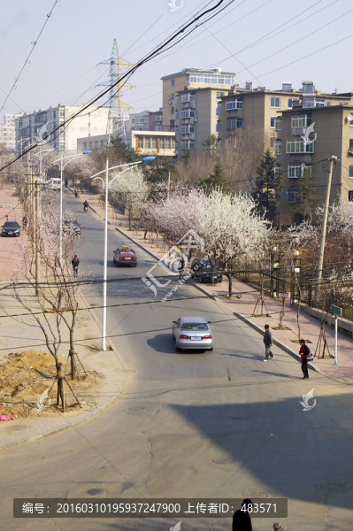 城市街景