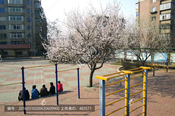 城市街景