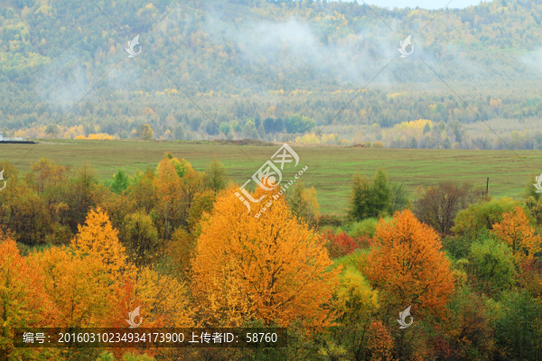 山林秋色