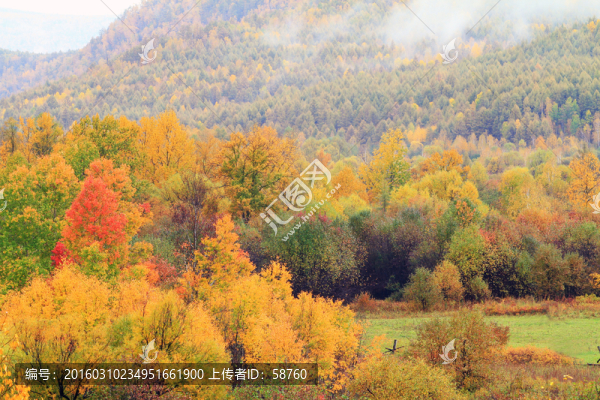 山林秋色