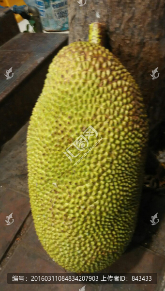波羅蜜