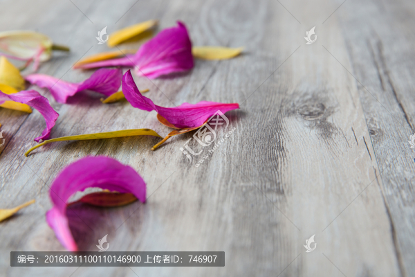 場景素材